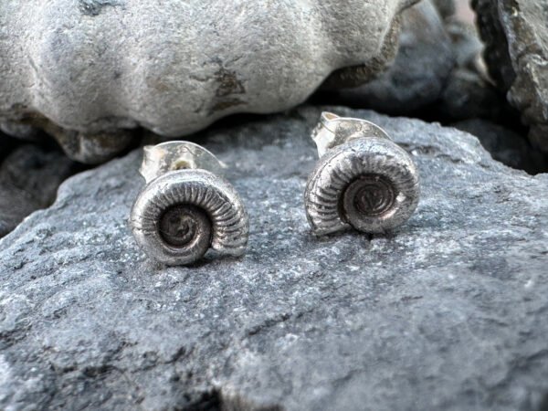 Ammonite Fine Silver Stud Earrings - Cast from Real Ammonite Found on Charmouth Beach, Dorset - Image 2